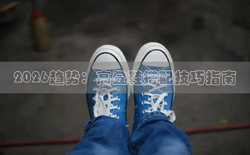 蜘蛛直播小狐狸