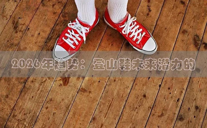 蜘蛛足球直播